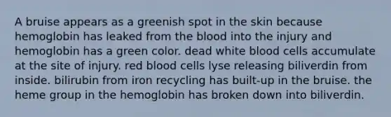 A bruise appears as a greenish spot in the skin because hemoglobin has leaked from <a href='https://www.questionai.com/knowledge/k7oXMfj7lk-the-blood' class='anchor-knowledge'>the blood</a> into the injury and hemoglobin has a green color. dead white blood cells accumulate at the site of injury. red blood cells lyse releasing biliverdin from inside. bilirubin from iron recycling has built-up in the bruise. the heme group in the hemoglobin has broken down into biliverdin.