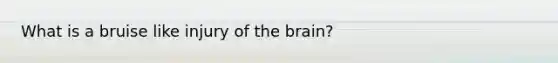 What is a bruise like injury of the brain?