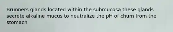 Brunners glands located within the submucosa these glands secrete alkaline mucus to neutralize the pH of chum from <a href='https://www.questionai.com/knowledge/kLccSGjkt8-the-stomach' class='anchor-knowledge'>the stomach</a>