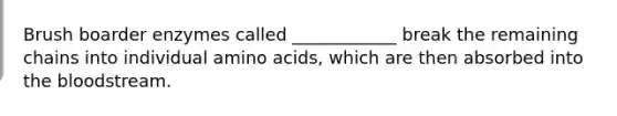 Brush boarder enzymes called ____________ break the remaining chains into individual amino acids, which are then absorbed into the bloodstream.