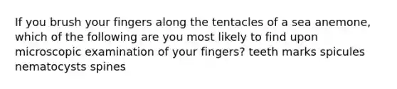 If you brush your fingers along the tentacles of a sea anemone, which of the following are you most likely to find upon microscopic examination of your fingers? teeth marks spicules nematocysts spines