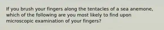 If you brush your fingers along the tentacles of a sea anemone, which of the following are you most likely to find upon microscopic examination of your fingers?