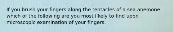 If you brush your fingers along the tentacles of a sea anemone which of the following are you most likely to find upon microscopic examination of your fingers.