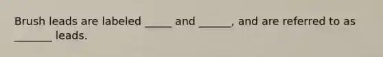 Brush leads are labeled _____ and ______, and are referred to as _______ leads.