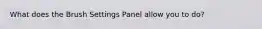 What does the Brush Settings Panel allow you to do?