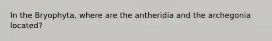 In the Bryophyta, where are the antheridia and the archegonia located?