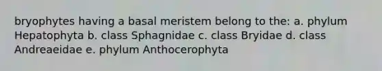 bryophytes having a basal meristem belong to the: a. phylum Hepatophyta b. class Sphagnidae c. class Bryidae d. class Andreaeidae e. phylum Anthocerophyta