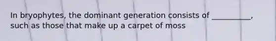 In bryophytes, the dominant generation consists of __________, such as those that make up a carpet of moss