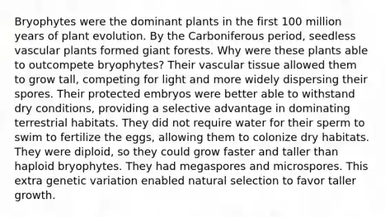 Bryophytes were the dominant plants in the first 100 million years of plant evolution. By the Carboniferous period, seedless vascular plants formed giant forests. Why were these plants able to outcompete bryophytes? Their vascular tissue allowed them to grow tall, competing for light and more widely dispersing their spores. Their protected embryos were better able to withstand dry conditions, providing a selective advantage in dominating terrestrial habitats. They did not require water for their sperm to swim to fertilize the eggs, allowing them to colonize dry habitats. They were diploid, so they could grow faster and taller than haploid bryophytes. They had megaspores and microspores. This extra genetic variation enabled natural selection to favor taller growth.