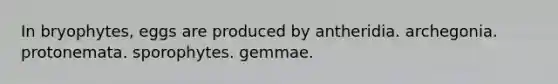 In bryophytes, eggs are produced by antheridia. archegonia. protonemata. sporophytes. gemmae.