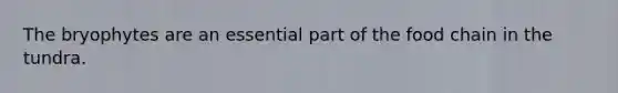 The bryophytes are an essential part of the food chain in the tundra.