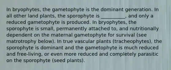 In bryophytes, the gametophyte is the dominant generation. In all other land plants, the sporophyte is __________, and only a reduced gametophyte is produced. In bryophytes, the sporophyte is small, permanently attached to, and nutritionally dependent on the maternal gametophyte for survival (see matrotrophy below). In true vascular plants (tracheophytes), the sporophyte is dominant and the gametophyte is much reduced and free-living, or even more reduced and completely parasitic on the sporophyte (seed plants).