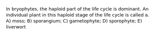 In bryophytes, the haploid part of the life cycle is dominant. An individual plant in this haploid stage of the life cycle is called a. A) moss; B) sporangium; C) gametophyte; D) sporophyte; E) liverwort