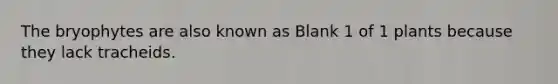 The bryophytes are also known as Blank 1 of 1 plants because they lack tracheids.