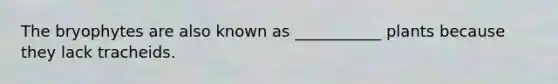 The bryophytes are also known as ___________ plants because they lack tracheids.