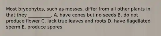 Most bryophytes, such as mosses, differ from all other plants in that they __________. A. have cones but no seeds B. do not produce flower C. lack true leaves and roots D. have flagellated sperm E. produce spores