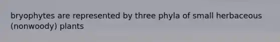 bryophytes are represented by three phyla of small herbaceous (nonwoody) plants
