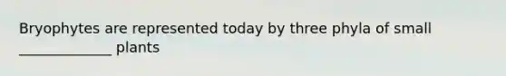 Bryophytes are represented today by three phyla of small _____________ plants