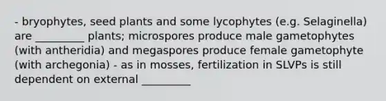 - bryophytes, seed plants and some lycophytes (e.g. Selaginella) are _________ plants; microspores produce male gametophytes (with antheridia) and megaspores produce female gametophyte (with archegonia) - as in mosses, fertilization in SLVPs is still dependent on external _________