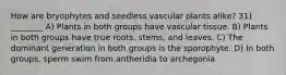 How are bryophytes and seedless vascular plants alike? 31) ________ A) Plants in both groups have vascular tissue. B) Plants in both groups have true roots, stems, and leaves. C) The dominant generation in both groups is the sporophyte. D) In both groups, sperm swim from antheridia to archegonia