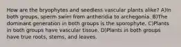 How are the bryophytes and seedless vascular plants alike? A)In both groups, sperm swim from antheridia to archegonia. B)The dominant generation in both groups is the sporophyte. C)Plants in both groups have vascular tissue. D)Plants in both groups have true roots, stems, and leaves.