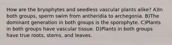 How are the bryophytes and seedless vascular plants alike? A)In both groups, sperm swim from antheridia to archegonia. B)The dominant generation in both groups is the sporophyte. C)Plants in both groups have vascular tissue. D)Plants in both groups have true roots, stems, and leaves.