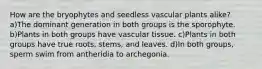 How are the bryophytes and seedless vascular plants alike? a)The dominant generation in both groups is the sporophyte. b)Plants in both groups have vascular tissue. c)Plants in both groups have true roots, stems, and leaves. d)In both groups, sperm swim from antheridia to archegonia.