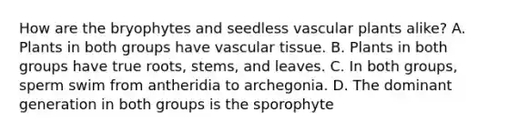 How are the bryophytes and seedless vascular plants alike? A. Plants in both groups have vascular tissue. B. Plants in both groups have true roots, stems, and leaves. C. In both groups, sperm swim from antheridia to archegonia. D. The dominant generation in both groups is the sporophyte