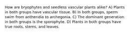 How are bryophytes and seedless vascular plants alike? A) Plants in both groups have vascular tissue. B) In both groups, sperm swim from antheridia to archegonia. C) The dominant generation in both groups is the sporophyte. D) Plants in both groups have true roots, stems, and leaves.