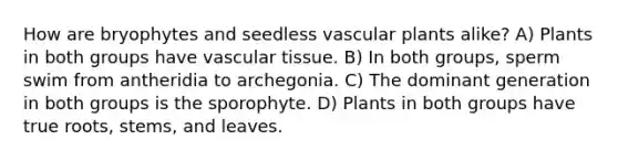 How are bryophytes and seedless vascular plants alike? A) Plants in both groups have vascular tissue. B) In both groups, sperm swim from antheridia to archegonia. C) The dominant generation in both groups is the sporophyte. D) Plants in both groups have true roots, stems, and leaves.