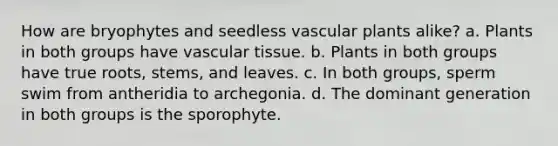 How are bryophytes and seedless vascular plants alike? a. Plants in both groups have vascular tissue. b. Plants in both groups have true roots, stems, and leaves. c. In both groups, sperm swim from antheridia to archegonia. d. The dominant generation in both groups is the sporophyte.