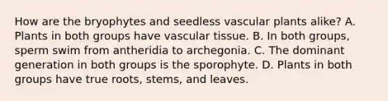 How are the bryophytes and seedless <a href='https://www.questionai.com/knowledge/kbaUXKuBoK-vascular-plants' class='anchor-knowledge'>vascular plants</a> alike? A. Plants in both groups have <a href='https://www.questionai.com/knowledge/k1HVFq17mo-vascular-tissue' class='anchor-knowledge'>vascular tissue</a>. B. In both groups, sperm swim from antheridia to archegonia. C. The dominant generation in both groups is the sporophyte. D. Plants in both groups have true roots, stems, and leaves.