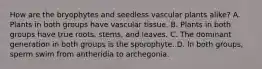 How are the bryophytes and seedless vascular plants alike? A. Plants in both groups have vascular tissue. B. Plants in both groups have true roots, stems, and leaves. C. The dominant generation in both groups is the sporophyte. D. In both groups, sperm swim from antheridia to archegonia.