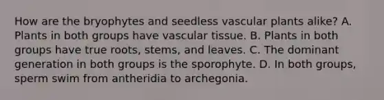 How are the bryophytes and seedless <a href='https://www.questionai.com/knowledge/kbaUXKuBoK-vascular-plants' class='anchor-knowledge'>vascular plants</a> alike? A. Plants in both groups have <a href='https://www.questionai.com/knowledge/k1HVFq17mo-vascular-tissue' class='anchor-knowledge'>vascular tissue</a>. B. Plants in both groups have true roots, stems, and leaves. C. The dominant generation in both groups is the sporophyte. D. In both groups, sperm swim from antheridia to archegonia.