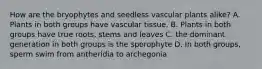 How are the bryophytes and seedless vascular plants alike? A. Plants in both groups have vascular tissue. B. Plants in both groups have true roots, stems and leaves C. the dominant generation in both groups is the sporophyte D. In both groups, sperm swim from antheridia to archegonia