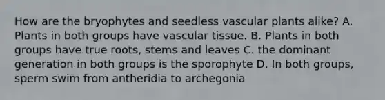 How are the bryophytes and seedless vascular plants alike? A. Plants in both groups have vascular tissue. B. Plants in both groups have true roots, stems and leaves C. the dominant generation in both groups is the sporophyte D. In both groups, sperm swim from antheridia to archegonia