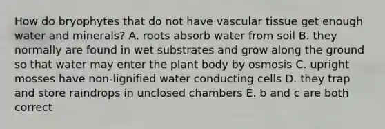 How do bryophytes that do not have vascular tissue get enough water and minerals? A. roots absorb water from soil B. they normally are found in wet substrates and grow along the ground so that water may enter the plant body by osmosis C. upright mosses have non-lignified water conducting cells D. they trap and store raindrops in unclosed chambers E. b and c are both correct