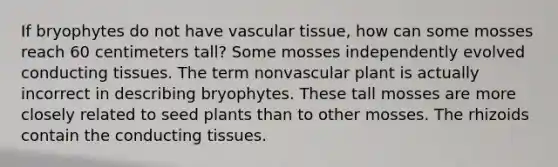 If bryophytes do not have <a href='https://www.questionai.com/knowledge/k1HVFq17mo-vascular-tissue' class='anchor-knowledge'>vascular tissue</a>, how can some mosses reach 60 centimeters tall? Some mosses independently evolved conducting tissues. The term nonvascular plant is actually incorrect in describing bryophytes. These tall mosses are more closely related to seed plants than to other mosses. The rhizoids contain the conducting tissues.