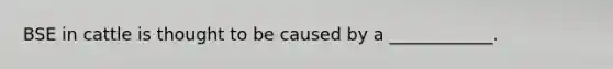 BSE in cattle is thought to be caused by a ____________.