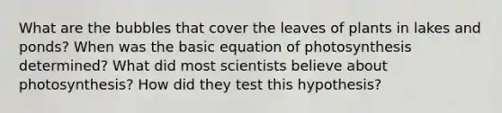 What are the bubbles that cover the leaves of plants in lakes and ponds? When was the basic equation of photosynthesis determined? What did most scientists believe about photosynthesis? How did they test this hypothesis?