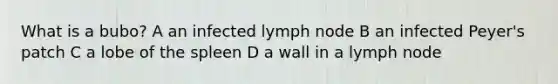 What is a bubo? A an infected lymph node B an infected Peyer's patch C a lobe of the spleen D a wall in a lymph node