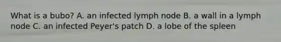 What is a bubo? A. an infected lymph node B. a wall in a lymph node C. an infected Peyer's patch D. a lobe of the spleen