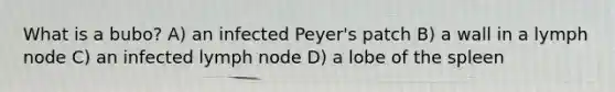 What is a bubo? A) an infected Peyer's patch B) a wall in a lymph node C) an infected lymph node D) a lobe of the spleen
