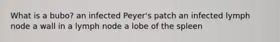 What is a bubo? an infected Peyer's patch an infected lymph node a wall in a lymph node a lobe of the spleen