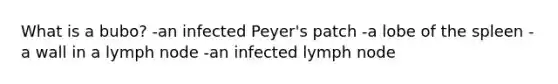 What is a bubo? -an infected Peyer's patch -a lobe of the spleen -a wall in a lymph node -an infected lymph node