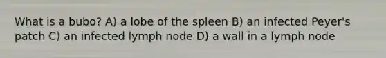 What is a bubo? A) a lobe of the spleen B) an infected Peyer's patch C) an infected lymph node D) a wall in a lymph node