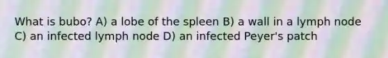 What is bubo? A) a lobe of the spleen B) a wall in a lymph node C) an infected lymph node D) an infected Peyer's patch