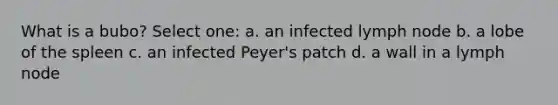 What is a bubo? Select one: a. an infected lymph node b. a lobe of the spleen c. an infected Peyer's patch d. a wall in a lymph node