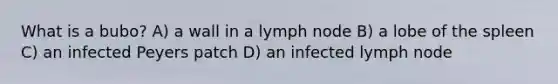 What is a bubo? A) a wall in a lymph node B) a lobe of the spleen C) an infected Peyers patch D) an infected lymph node