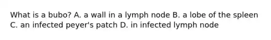 What is a bubo? A. a wall in a lymph node B. a lobe of the spleen C. an infected peyer's patch D. in infected lymph node